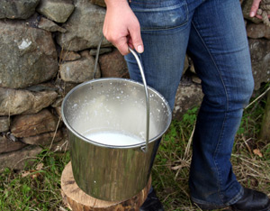 What Are The Most Important Homesteading Skills You've Learned? Image